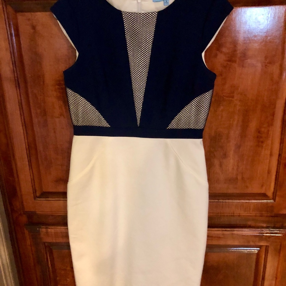 Gorgeous Navy and Cream Antonio Melani dress